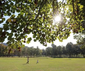 21.09.2018., Zagreb - Park Trnjanska Savica.

Photo: Jurica Galoic/PIXSELL