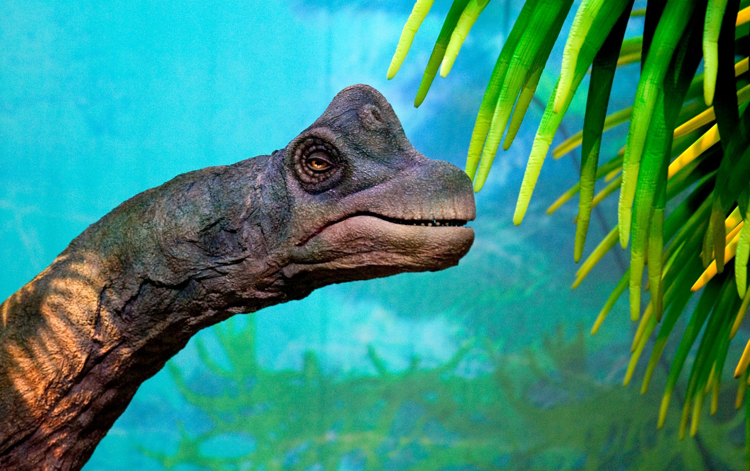 Zagreb, 14.04.2010 - Veèeras je u Areni Zagreb odrana spektakularna predstava "etnja s dinosaurima". Predstava je prikazala ivot na Zemlji prije 65 milijuna godina sa dinosaurima u prirodnoj velièini koji su dosezali krov Arene.
foto FaH/ Damir SENÈAR /ds