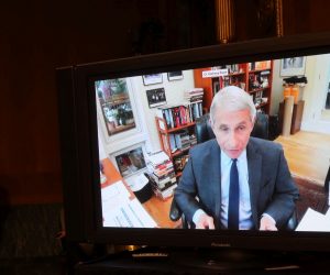 epa08417334 Dr. Anthony Fauci, director of the National Institute of Allergy and Infectious Diseases speaks remotely during a Senate Health, Education, Labor and Pensions (HELP) Committee hearing on Capitol Hill in Washington, DC, USA, 12 May 2020. The committee is hearing testimony from members of the White House Coronavirus Task Force on how to safely open the country and get America back to work and school.  EPA/WIN MCNAMEE / POOL