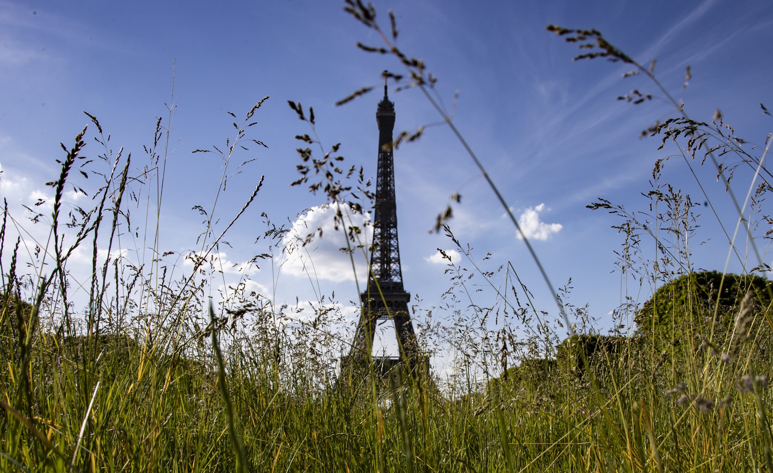 epa08436238 Long overgrown grass stands tall, as it was left unmowed during the 55 days of confinement, on the Champs de Mars near the Eiffel Tower in Paris, France, 21 May 2020.  EPA/IAN LANGSDON