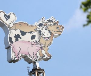 epa08497086 View of the emblem of the German meat processing company Toennies, depicting a cartoon-style pig, a cow and an ox, at the Toennies factory in Rheda-Wiedenbrueck, western Germany, 20 June 2020. According to media reports, more than 800 Toennies workers at the Rheda-Wiedenbrueck plant – Europe's largest slaughterhouse – have tested positive for the SARS-CoV-2 coronavirus that causes the COVID-19 disease, making it one of the largest clusters of the ongoing pandemic detected so far in the country.  EPA/FOCKE STRANGMANN