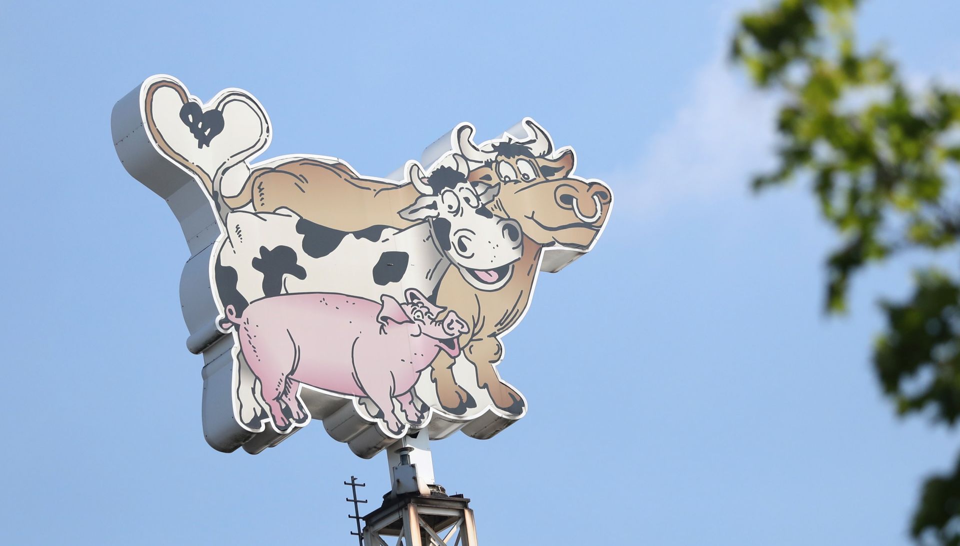 epa08497086 View of the emblem of the German meat processing company Toennies, depicting a cartoon-style pig, a cow and an ox, at the Toennies factory in Rheda-Wiedenbrueck, western Germany, 20 June 2020. According to media reports, more than 800 Toennies workers at the Rheda-Wiedenbrueck plant – Europe's largest slaughterhouse – have tested positive for the SARS-CoV-2 coronavirus that causes the COVID-19 disease, making it one of the largest clusters of the ongoing pandemic detected so far in the country.  EPA/FOCKE STRANGMANN