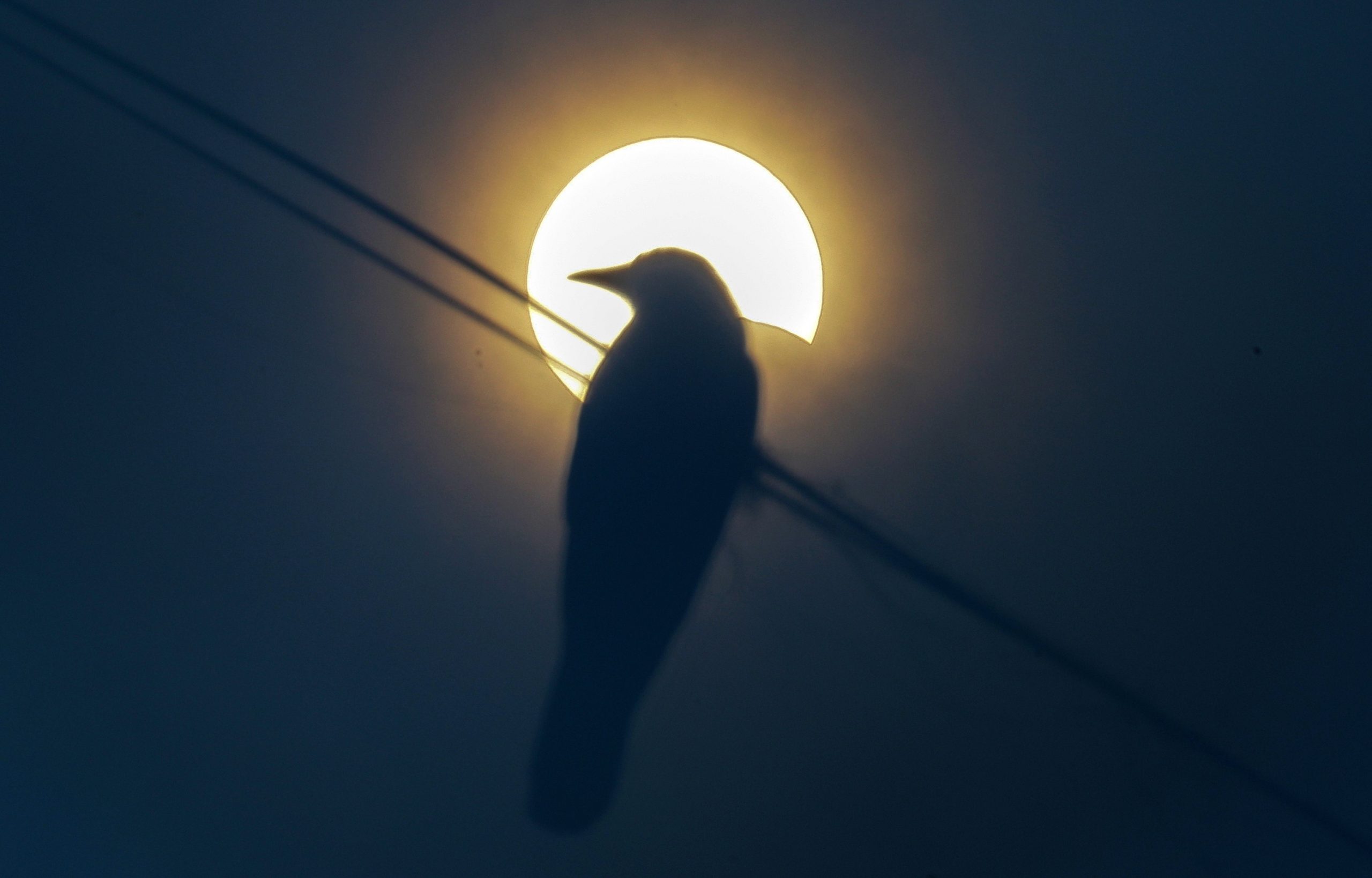 epa08499890 An image taken using an X-ray plate as a filter shows the silhouette of a bird perched on a power cable while a partial solar eclipse is seen in the clouded sky over the outskirts of Mumbai, India, 21 June 2020. A partial solar eclipse occurs when a portion of the Earth is engulfed by the shadow (penumbra) cast by the Moon as it passes between our planet and the Sun in imperfect alignment. During this annular eclipse – the first of the decade – the Moon appears to cover the Sun, leaving the Sun's halo as a visible rim forming an annulus, popularly known as the 'ring of fire.  EPA/DIVYAKANT SOLANKI
