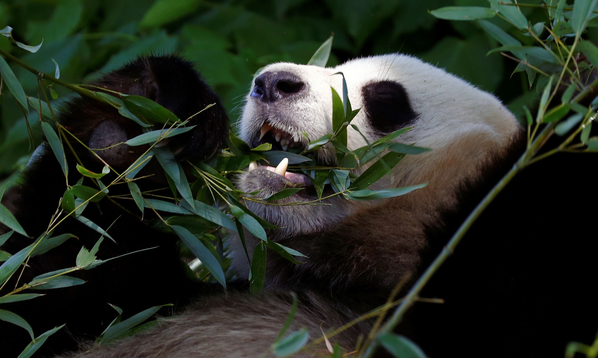 FRANCOIS LENOIR/REUTERS/PIXSELL