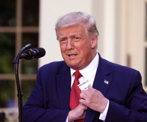 epa08546478 US President Donald J. Trump holds a press conference in the Rose Garden at the White House in Washington, DC, USA, 14 July 2020.  EPA/TASOS KATOPODIS / POOL