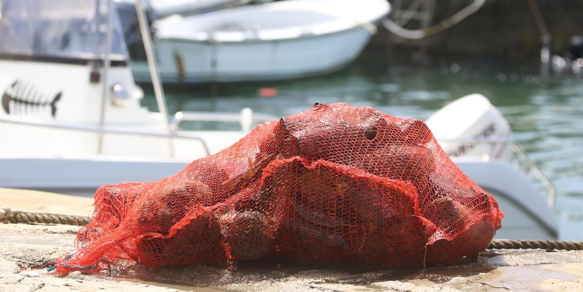 09.06.2019., Savudrija  - Vise od 200 ronilaca iz Hrvatske i Slovenije ciste plaze, luku i podmorje Savudrije i Pirana. 
Photo: Nel Pavletic/PIXSELL