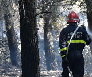 16.07.2019., Novalja - Sinoc oko 1 sat planuo je velik pozar u neposrednoj blizini plaze Zrce. Svi posjetitelji su evakuirani, a vatrogasci su tek jutros uspjeli staviti pozar pod kontrolu.  
Photo: Dino Stanin/PIXSELL