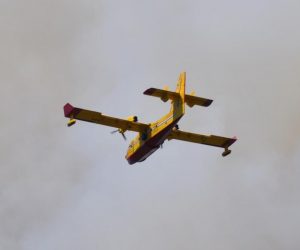 30.06.2020., Kuciste - U Kucistu na poluotoku Peljescu buknuo je pozar u borovoj sumi, a vatrocascima su u pomoc priskocila i tri kanadera iz sastava Oruzanih snaga. Kuce za sada nisu ugrozene, ali gasenje pozara otezava jak vjetar
Photo: PIXSELL