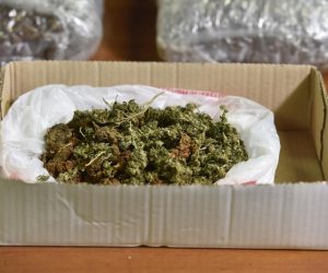 11.03.2020., Sibenik - Konferencija za medije povodom dovrsenog opseznog kriminalistickog istrazivanja iz podrucja zlouporabe opojnih droga. Photo: Hrvoje Jelavic/PIXSELL