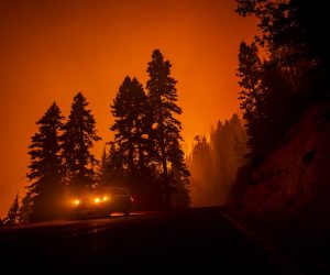 epa08669805 A firefighter checks the evolution of the fire from his car as the Castle Fire burns in the Sequoia National Forest prompting evacuations, between Ponderosa and Camp Nelson, California, USA, 15 September 2020. According to reports, the Castle Fire has burnt over 90,000 acres of forest.  EPA/ETIENNE LAURENT