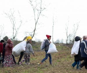 04.03.2020., Edirne, Turska - Najvece zariste izbjeglicke krize trenutno je Pazarkule, granicni prijelaz izmedju Turske i Grcke.
Photo: Armin Durgut/PIXSELL