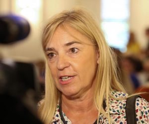 09.07.2018., Zagreb -Okrugli stol naziva 'Zastita dobrobiti djece u situacijama razdvojenog i konfliktnog roditeljstva' u novinarsko domu. Pravobraniteljica za djecu Helenca Pirnat Dragicevic.
Photo: Matija Habljak/PIXSELL