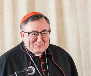 12.06.2020., Vukovar - Svecano otvorenje Ureda Zaklade Vrhbosanske nadbiskupije u Vukovaru. Ured Zaklade otvorit je predsjednik Vlade RH g. Andrej Plenkovic i kardinal Vinko Puljic. Photo: Davor Javorovic/PIXSELL