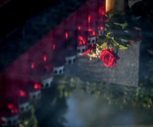Zagreb: Povodom blagdana Svih svetih građani uredili grobove svojih najmilijih na Mirogoju 31.10.2018., Zagreb - Povodom blagdana Svih svetih gradjani su uredili grobove svojih najmilijih na groblju Mirogoj.

Photo: Sandra Simunovic/PIXSELL