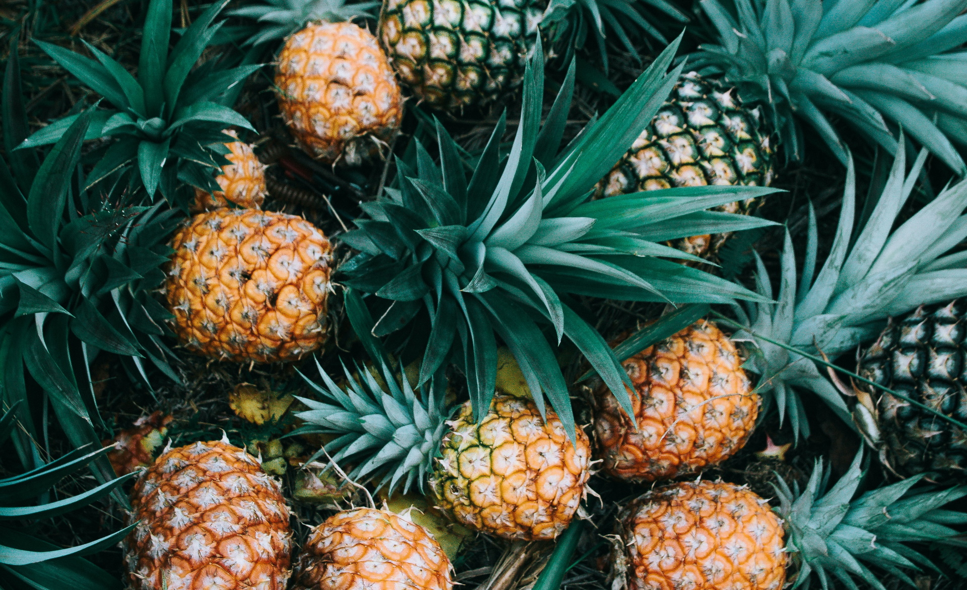 Unsplash/Asso Myron