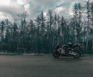 Unsplash/Marius Oprea