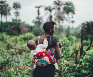 Unsplash/Annie Spratt