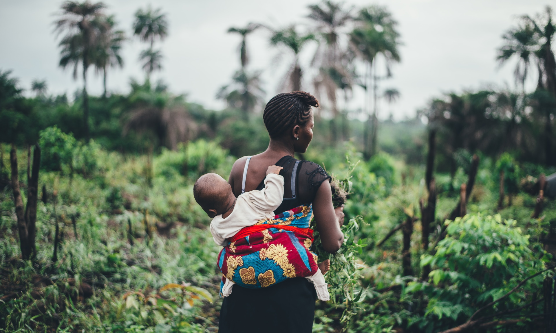 Unsplash/Annie Spratt