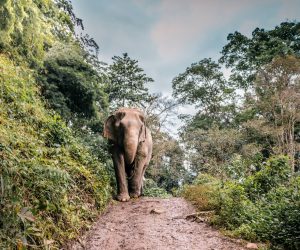 Unsplash/Deanna DeShea