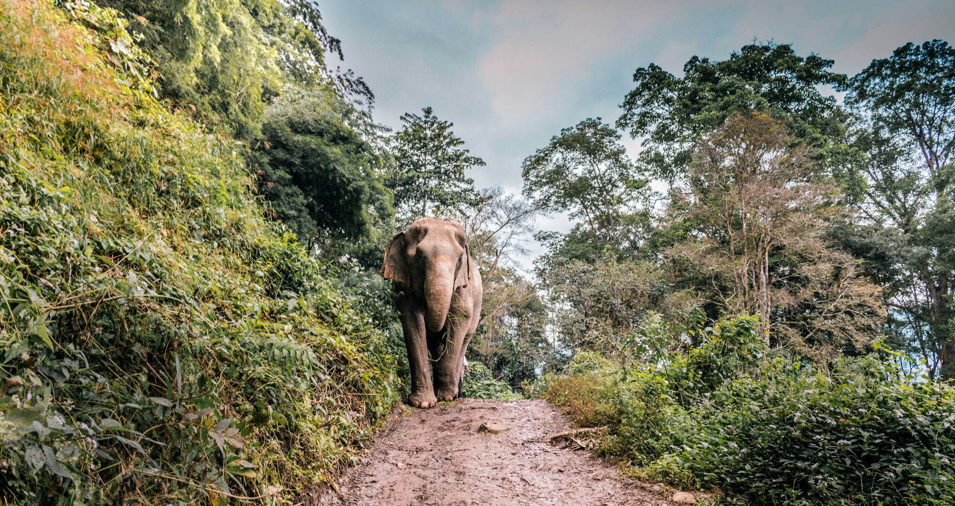 Unsplash/Deanna DeShea