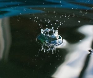 Unsplash/Patrick Perkins