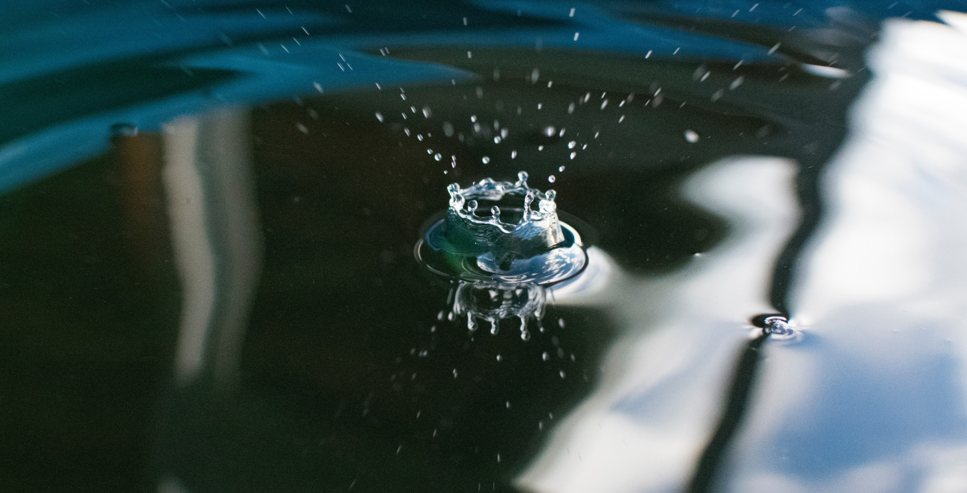 Unsplash/Patrick Perkins