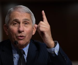 epa08691254 Anthony Fauci, director of National Institute of Allergy and Infectious Diseases at NIH, testifies during a Senate Health, Education, and Labor and Pensions Committee on Capitol Hill, in Washington, DC, USA, 23 September 2020.  EPA/Graeme Jennings / POOL