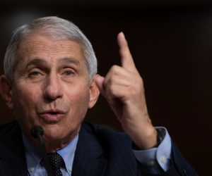 epa08691254 Anthony Fauci, director of National Institute of Allergy and Infectious Diseases at NIH, testifies during a Senate Health, Education, and Labor and Pensions Committee on Capitol Hill, in Washington, DC, USA, 23 September 2020.  EPA/Graeme Jennings / POOL