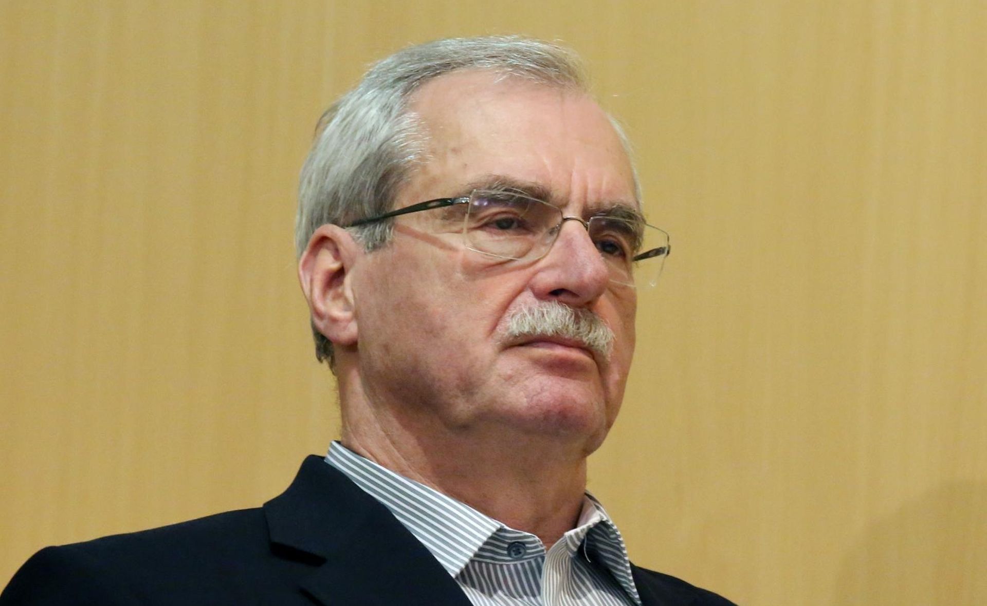 26.03.2015., Sibenik - U gradskoj knjiznici Juraj Sizgoric predstavljena je knjiga Tihomira Dujmovica Hrvatska u raljama djece komunizma, koju je 2014. objavio zagrebacki Kruzic. Knjigu su predstavili prof. dr. sc. Andrija Hebrang i autor. Predstavljanje je organizirala Zajednica zena HDZ-a Katarina Zrinski Sibensko-kninske zupanije.
Photo: Dusko Jaramaz/PIXSELL
