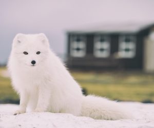 Unsplash/Jonatan Pie