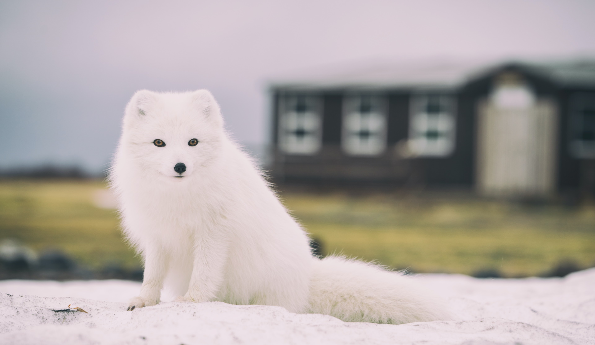Unsplash/Jonatan Pie