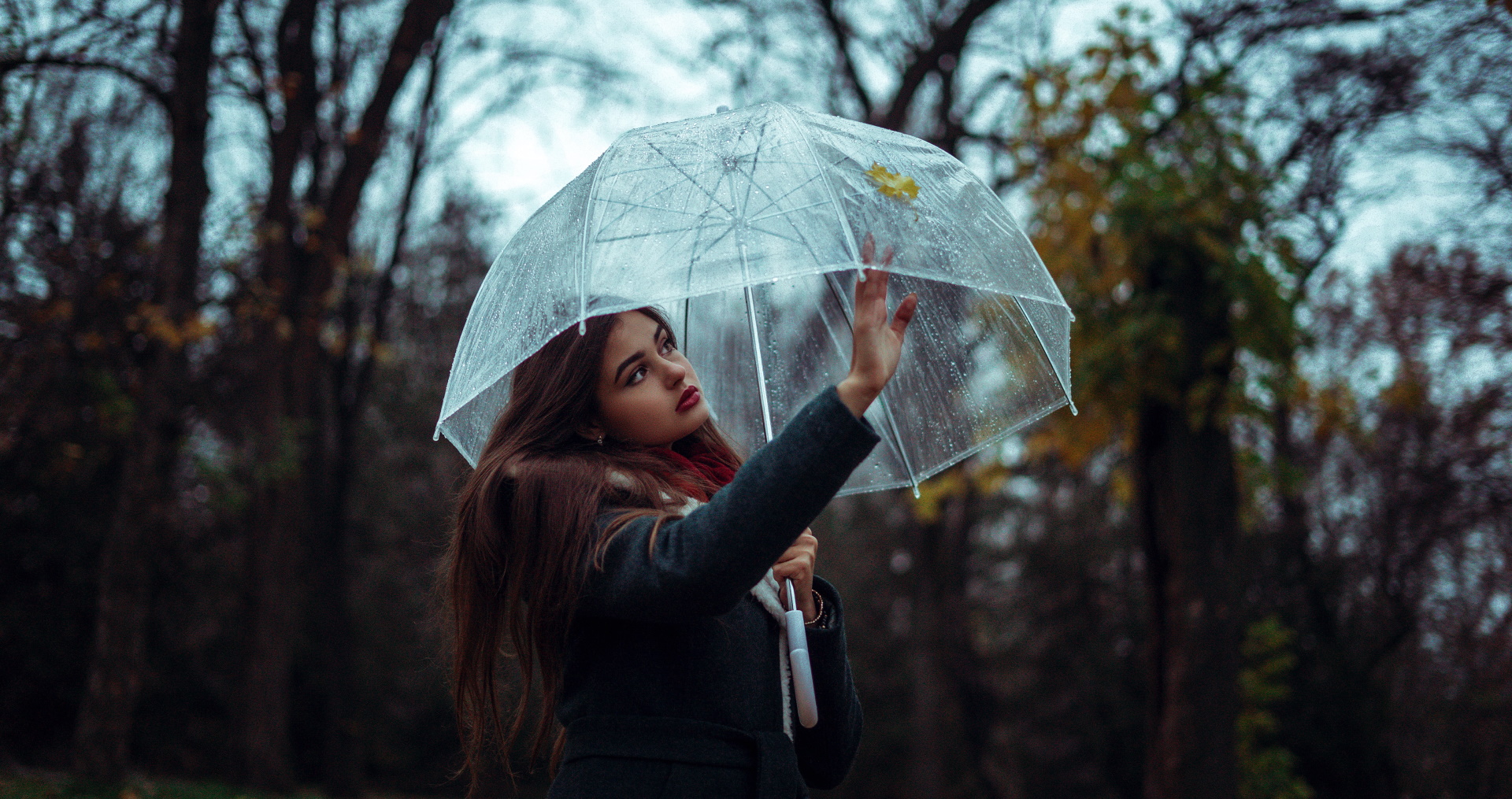 Unsplash/Elijah O'Donnell