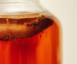 Kombucha