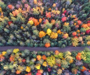 Unsplash/Aaron Burden
