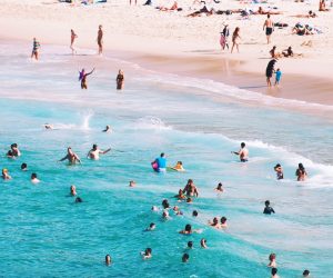 Unsplash/Annie Spratt