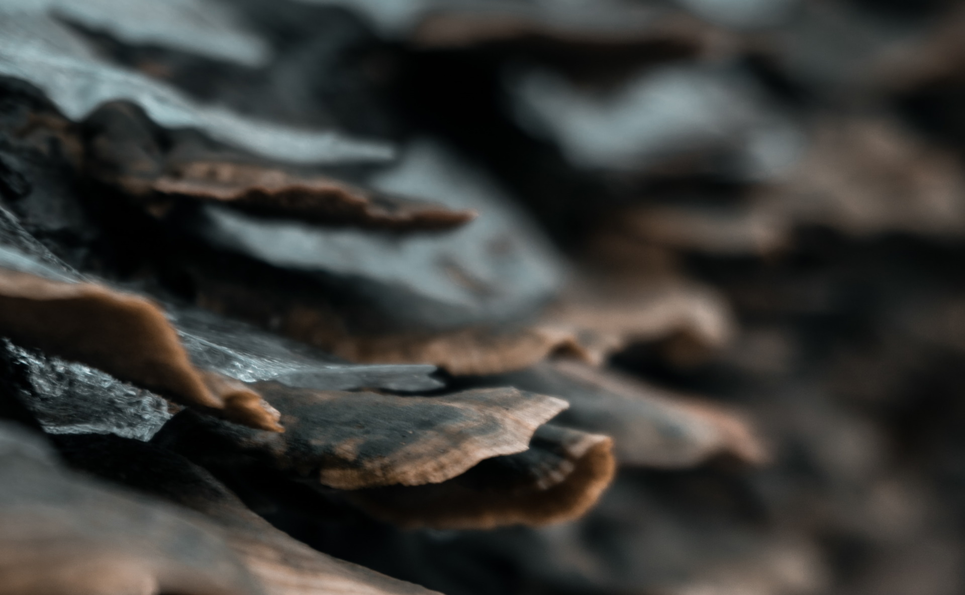 Unsplash/Hamza Bounaim