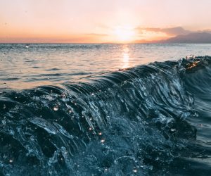 Unsplash/Mourad Saadi