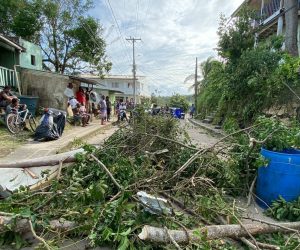 epa08826401 Paths blocked by trees in San Andres, Colombia, 17 November 2020. President of Colombia, Ivan Duque, arrived on the island of San Andres, hit on 16 November by the passage of hurricane Iota, category 5, and said that from the air he was able to verify the magnitude of the destruction in Providencia, which is part of that Caribbean archipelago.  EPA/Juan David Suárez Corpas