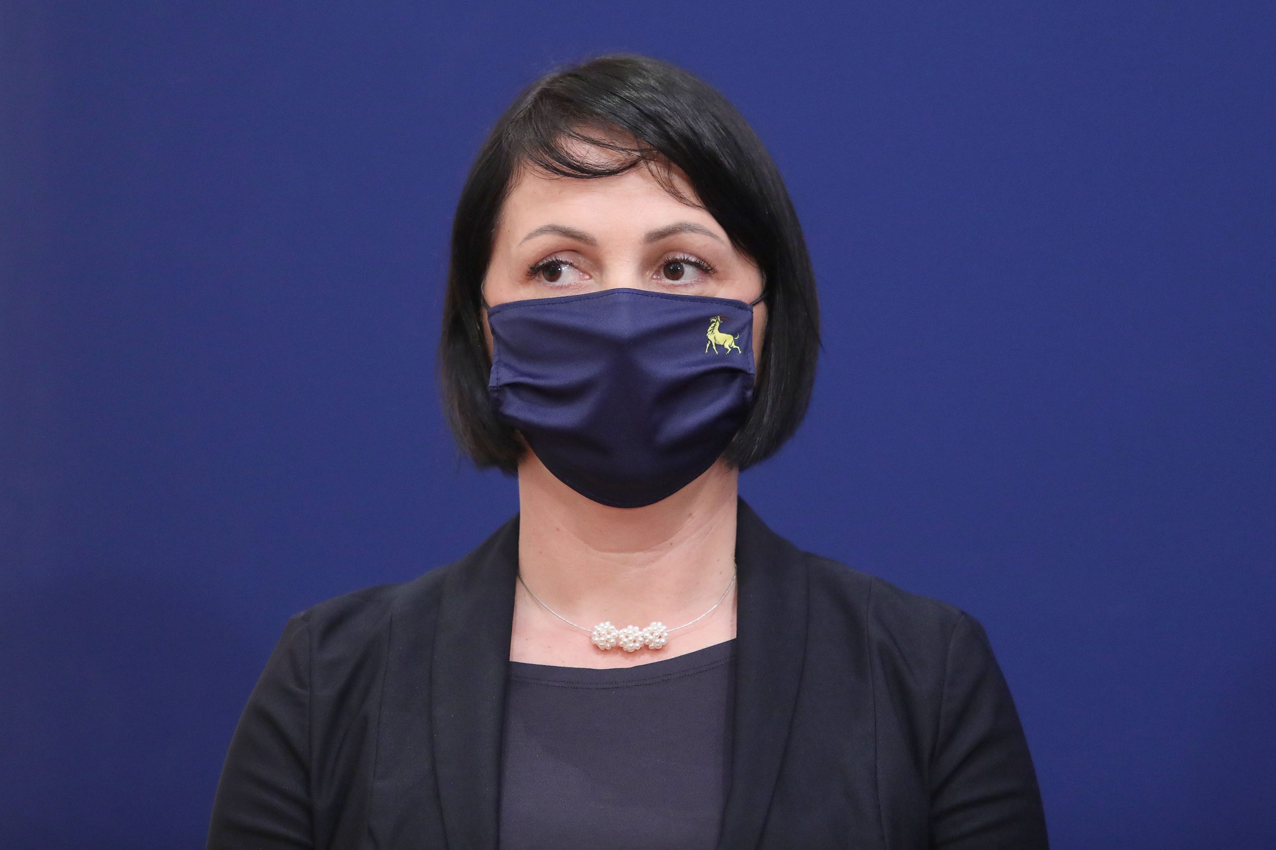 11.11.2020., Zagreb - Na konferenciji za medije kluba zastupnika IDS-a odrzanoj u Saboru o temi: "Kada Hrvatska diskriminira svoje studente onda to radi na svoju stetu" govorili su zastupnici Marin Lerotic, Tulio Demetlika i Katarina Nemet.
Photo: Patrik Macek/PIXSELL