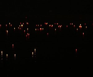 18.11.2015., Vukovar - Stotine bijelih i crvenih lampiona pusteno je niz Dunav u spomen na poginule i nestale hrvatske branitelje i civile u obrani Vukovara 1991. Svjetlosna rijeka sjecanja projekt je autora Zeljka Kovacica koji provodi Gradski muzej Vukovar u okviru obiljezavanja Dana sjecanja na zrtvu Vukovara 1991. 
Photo: Grgur Zucko/PIXSELL