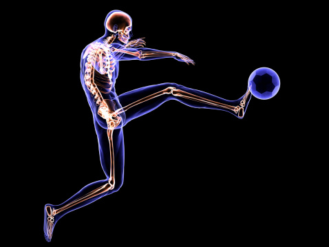 Full Body MRI Scanning
