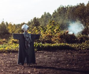 Unsplash/HLS 44