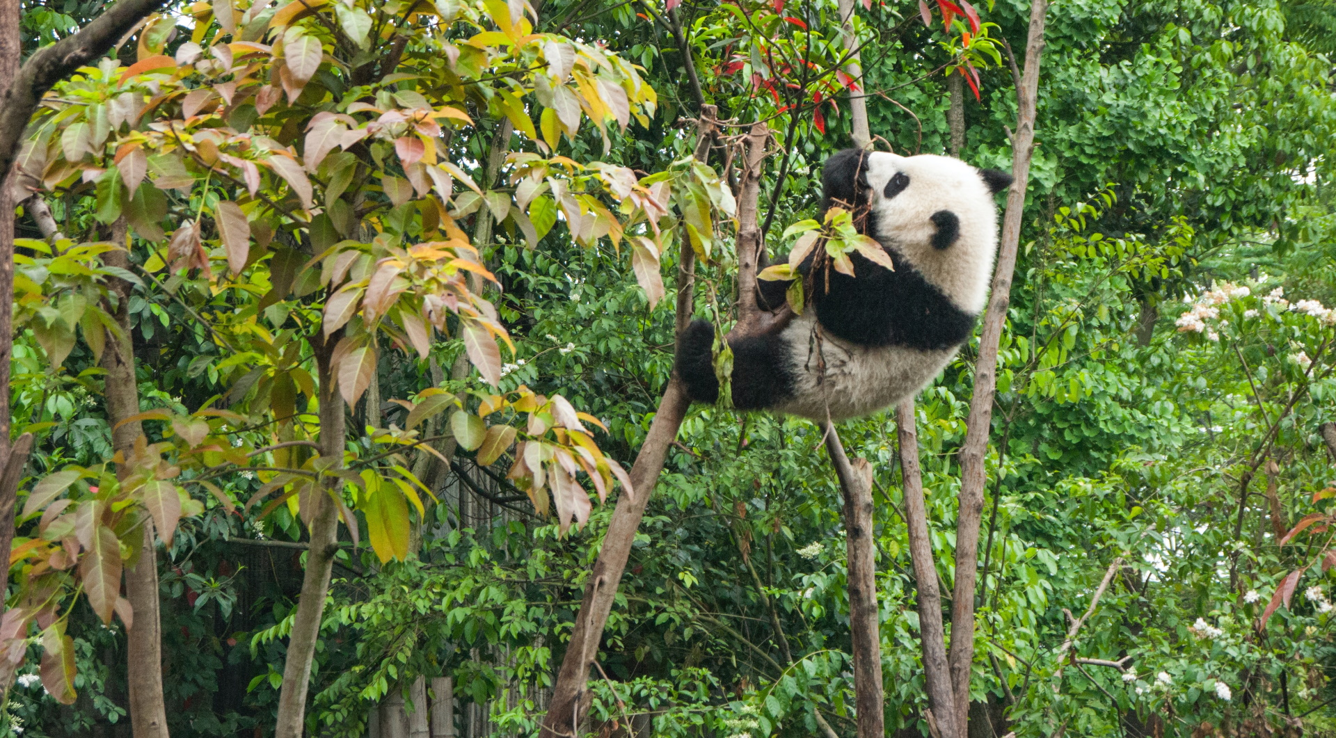 Unsplash/Chester Ho