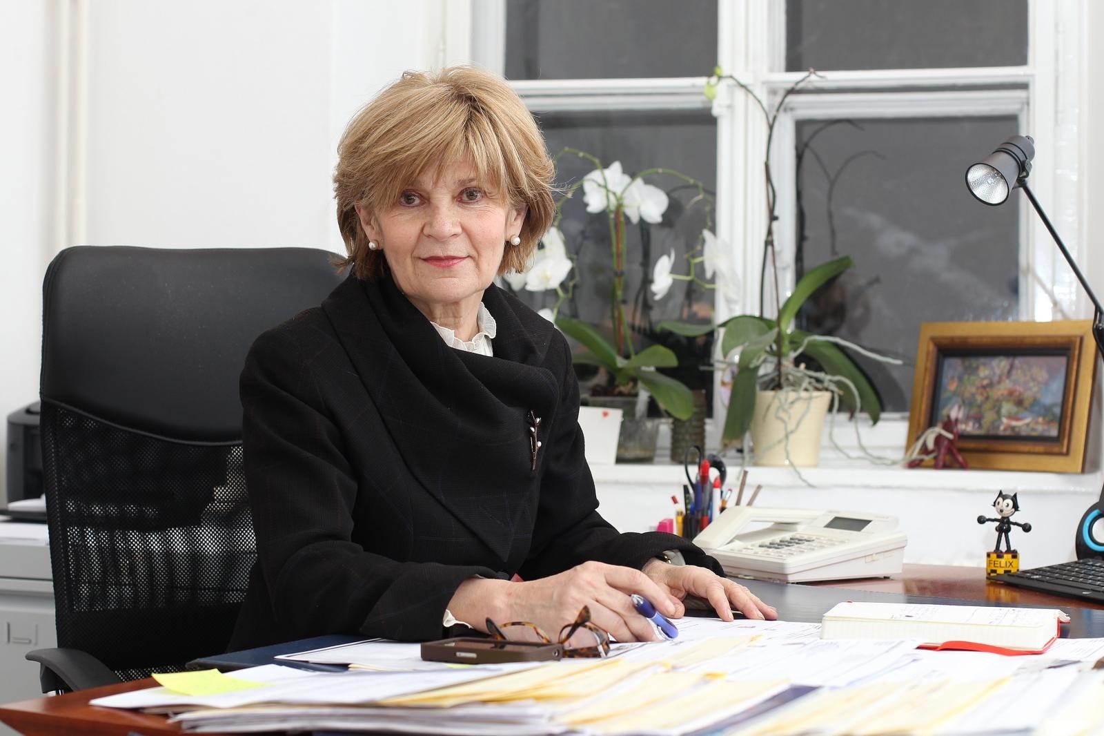 28.01.2014. Zagreb - Dr. sc. Dijana Plestina, ravnateljica Ureda za razminiranje Vlade RH.
Photo: Boris Scitar/Vecernji list