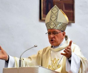 15.08.2020., Vocin - U svetiste Gospe Vocinske na blagdan Velike Gospe tradicionalno hodocastile obitelji s brojnom djecom. Sredisnje euharistijsko slavlje u crkvi  Pohodjenja Blazene Djevice Marije u vocinskom svetistu sluzio je pozeski biskup Antun Skvorcevic.
Photo: Ivica Galovic/PIXSELL