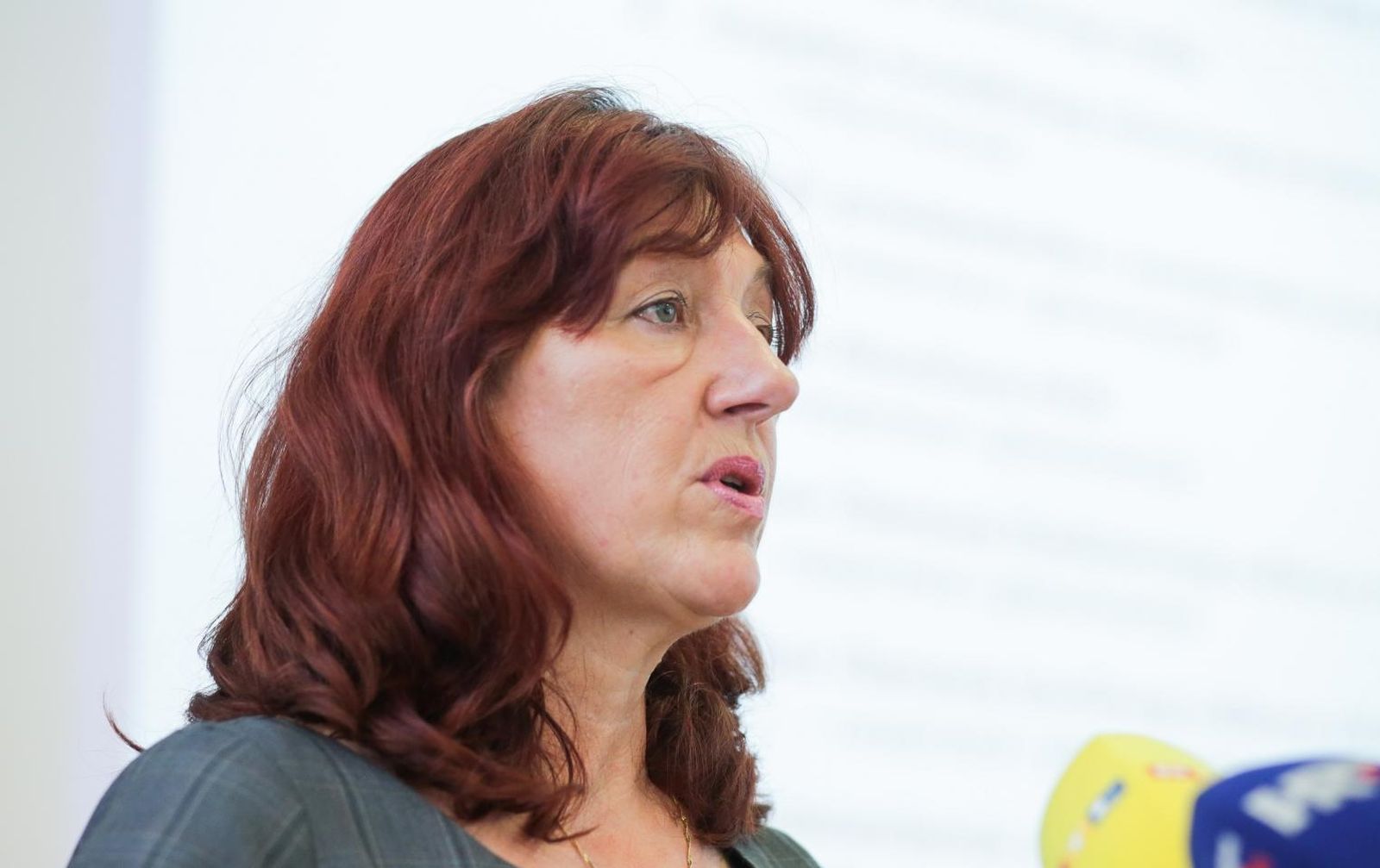 29.6.2019., Zagreb - Konstituirajuca sjednica Skupstine Hrvatske lijecnicke komore na kojoj je prisustvovao i Ministar Kujundzic.  Photo: Filip Kos/PIXSELL