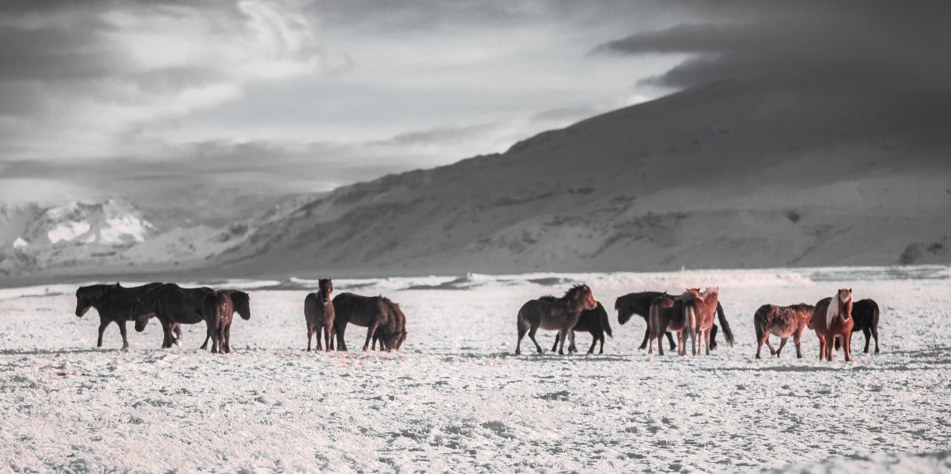 Unsplash/Martin Jernberg