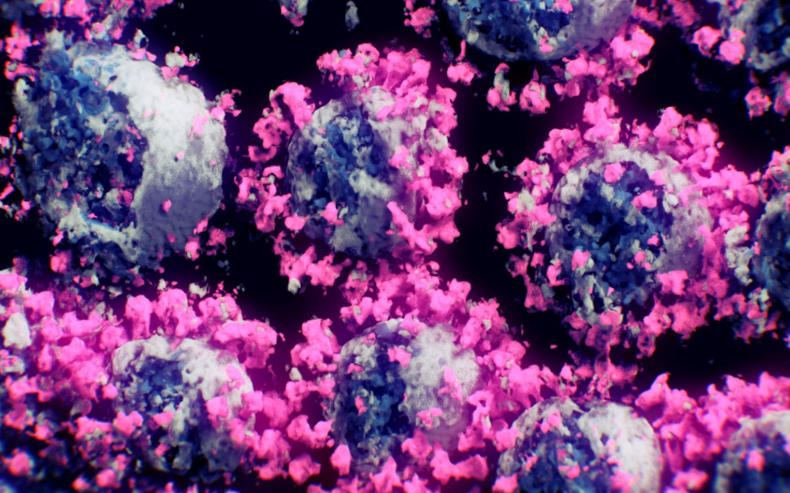 epa08954858 An undated handout photo made available by the Nanographics GmbH company in Vienna, Austria, shows a high resolution render of a SARS-CoV-2 cyro-electron tomography (cryo-ET) scan (issued 21 January 2021). Researchers have photographed SARS-CoV-2 for the first time in 3D, based on data from researchers at Tsinghua University in Beijing, who succeeded in extracting, scanning and digitizing SARS-CoV-2 virus particles in samples. The novel coronavirus SARS-COV-2, which causes the COVID-19 disease, has been recognized as a pandemic by the World Health Organization (WHO) on 11 March 2020.  EPA/NANOGRAPHICS GMBH HANDOUT -- MANDATORY CREDIT: NANOGRAPHICS GMBH https://nanographics.at  -- HANDOUT EDITORIAL USE ONLY/NO SALES