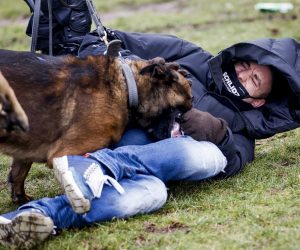 epa08962320 A demonstrator is attacked by a dog on the Museumplein, where the police broke up a demonstration against the current coronation measures, in Amsterdam, the Netherlands, 24 January 2021. The square has been designated a safety risk area after disturbances a week earlier in a similar protest.  EPA/ROBIN VAN LONKHUIJSEN
