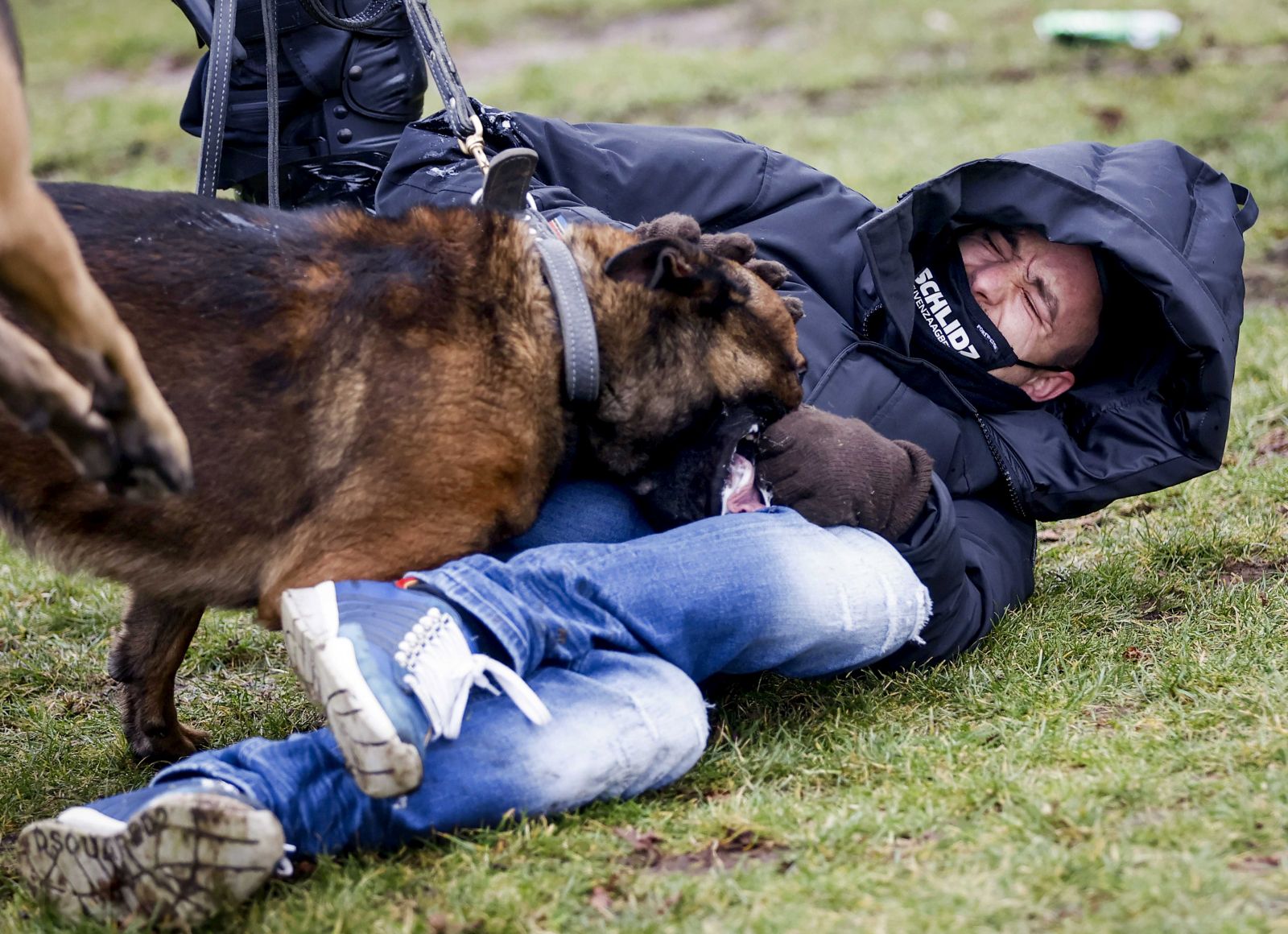 epa08962320 A demonstrator is attacked by a dog on the Museumplein, where the police broke up a demonstration against the current coronation measures, in Amsterdam, the Netherlands, 24 January 2021. The square has been designated a safety risk area after disturbances a week earlier in a similar protest.  EPA/ROBIN VAN LONKHUIJSEN